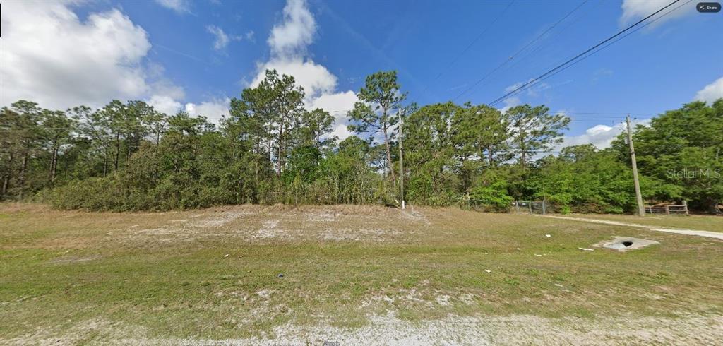 A vacant, grassy lot with scattered trees and utility poles under a blue sky — COMMONWEALTH AVE N, POLK CITY, FL