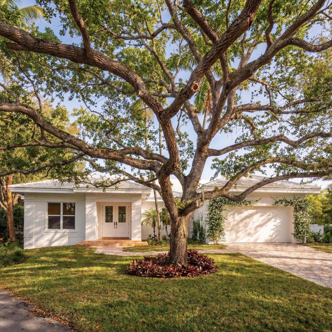 A white single-story house with a large tree in the front yard and a driveway — 6371 SW 87th Terrace, Pinecrest FL 33156, PINECREST, FL