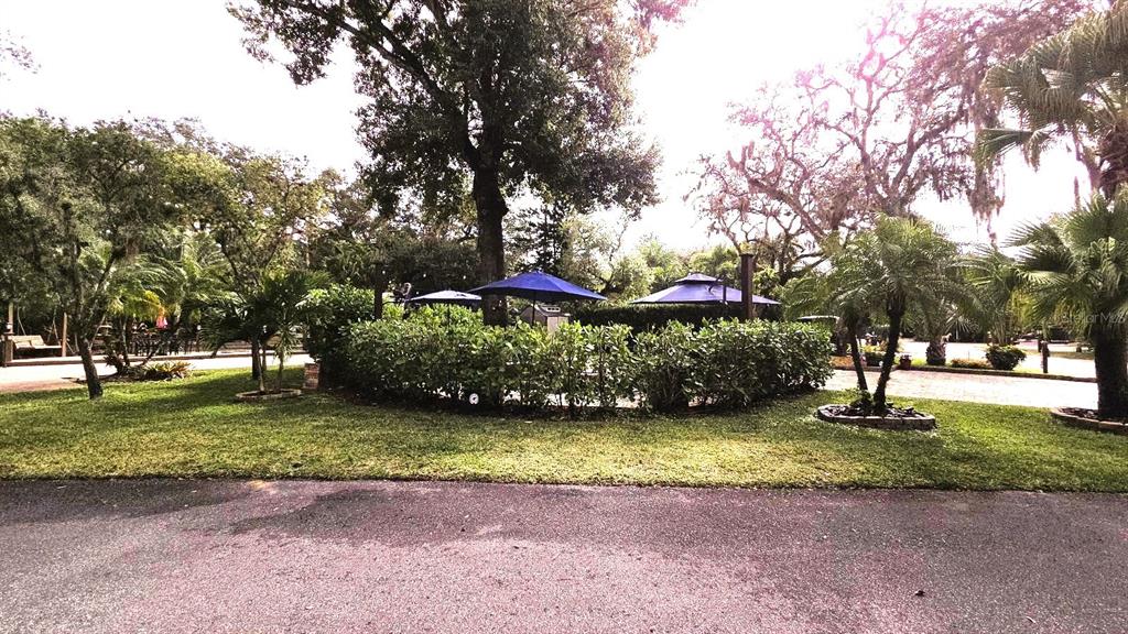 A landscaped yard features a hedge, several umbrellas, and mature trees under a bright sky — 332 BOBCAT LANE, LAKE WALES, FL