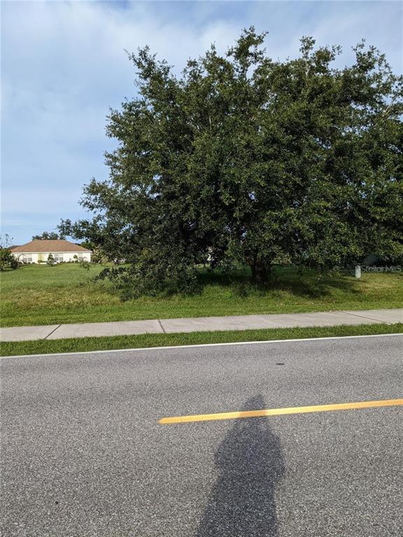 A large tree stands on a grassy lot next to a sidewalk and road — 1327 RIO DE JANEIRO AVENUE, PUNTA GORDA, FL