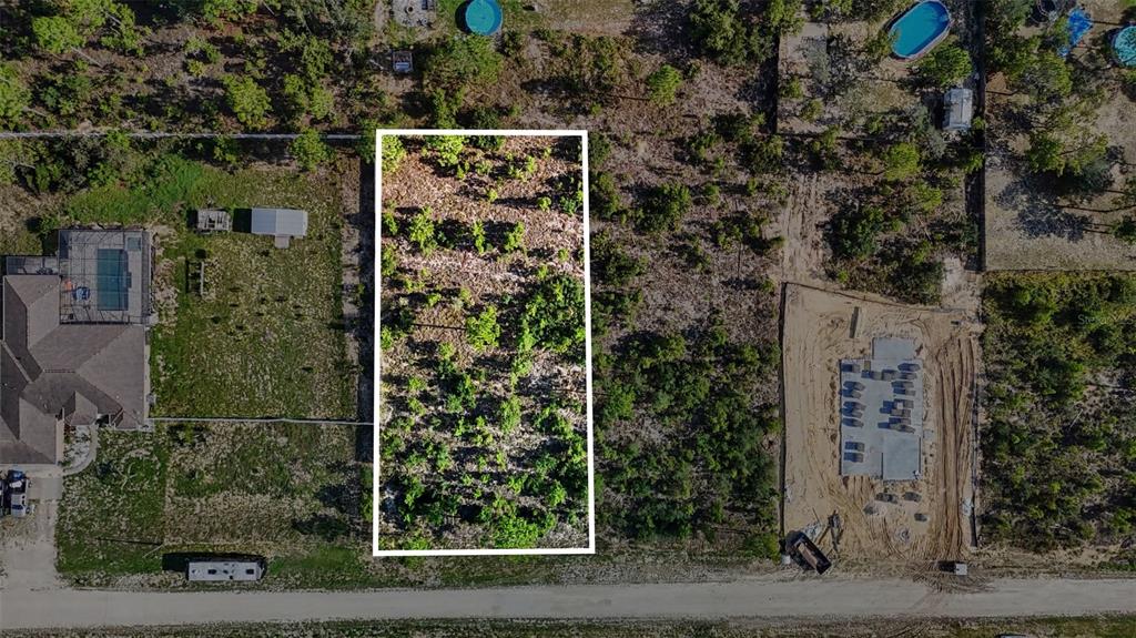 An aerial view shows a rectangular, undeveloped wooded lot outlined in white between two properties — 0 SCISSORBILL AVENUE, WEEKI WACHEE, FL