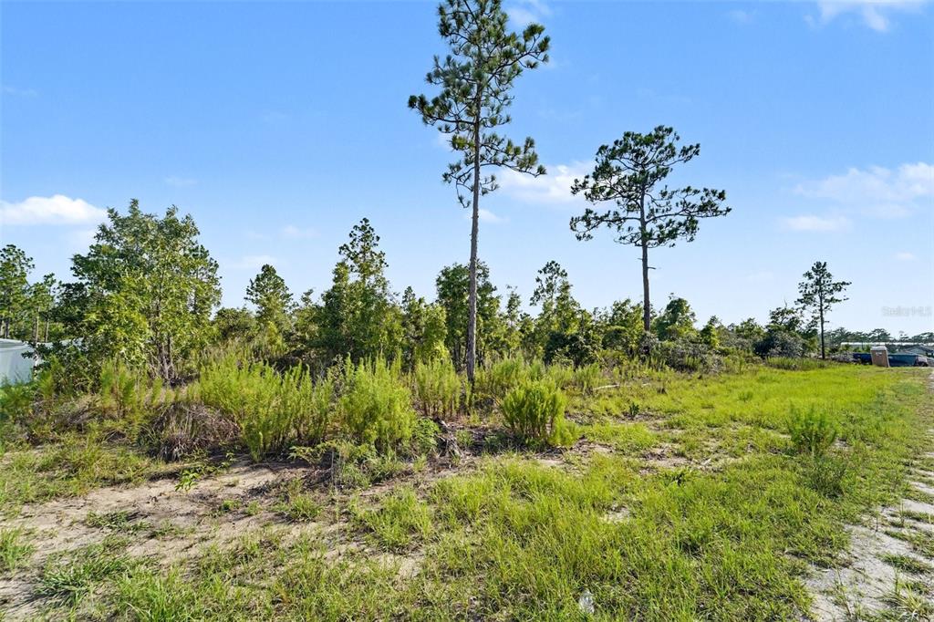 A grassy, partially wooded vacant lot under a clear blue sky — 0 SCISSORBILL AVENUE, WEEKI WACHEE, FL