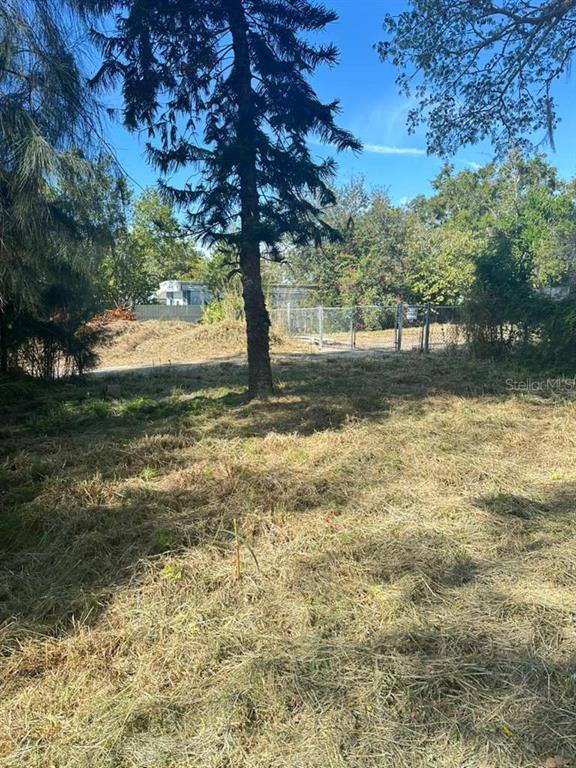 A large pine tree stands in the center of a grassy, partially cleared vacant lot — 4637 COTTONWOOD DRIVE, NEW PORT RICHEY, FL