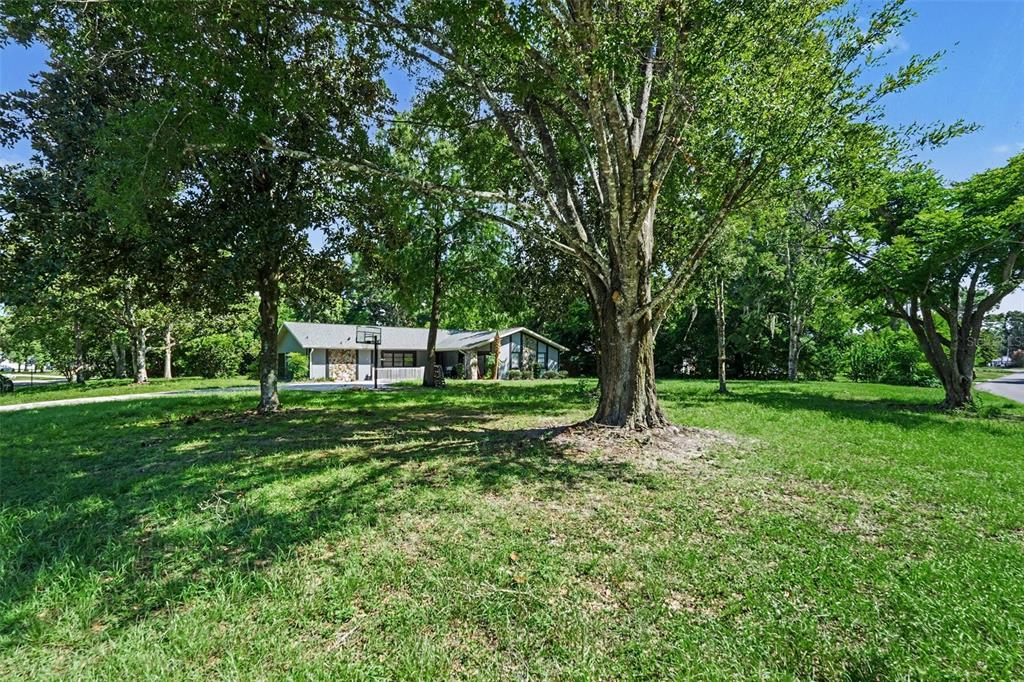 117 BYRSONIMA CIRCLE, HOMOSASSA, FL — photo 3 of 14