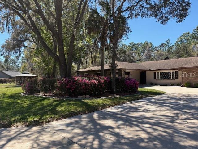 A single-story house with a concrete driveway, large trees, and a blooming azalea bush — 36 PINE DRIVE, HOMOSASSA, FL