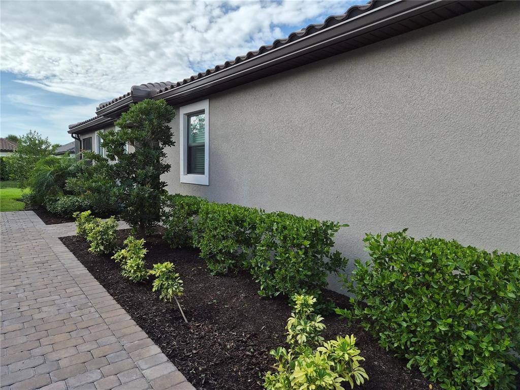 A side view of a house exterior featuring a stucco wall, window, and landscaped garden bed — 10057 MORNING MIST LANE, SARASOTA, FL