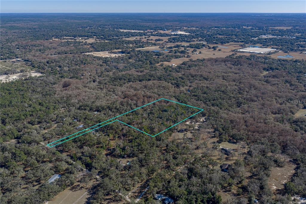 An aerial view shows a wooded plot of land outlined in blue — 00 ROWNTREE DRIVE, DADE CITY, FL