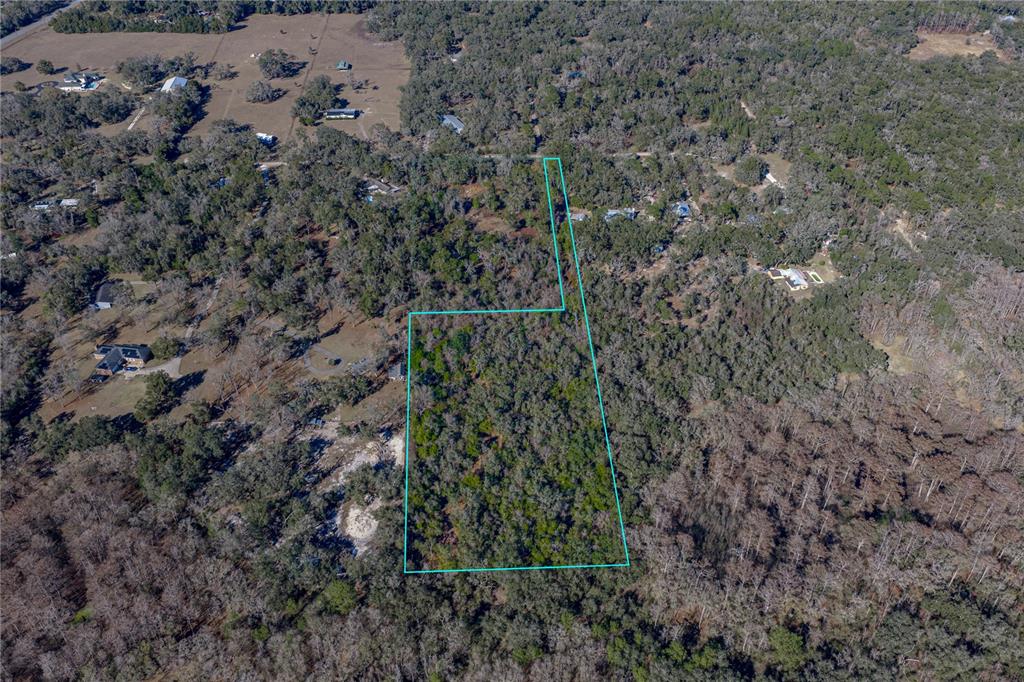 An aerial view shows a wooded plot of land outlined in blue — 00 ROWNTREE DRIVE, DADE CITY, FL
