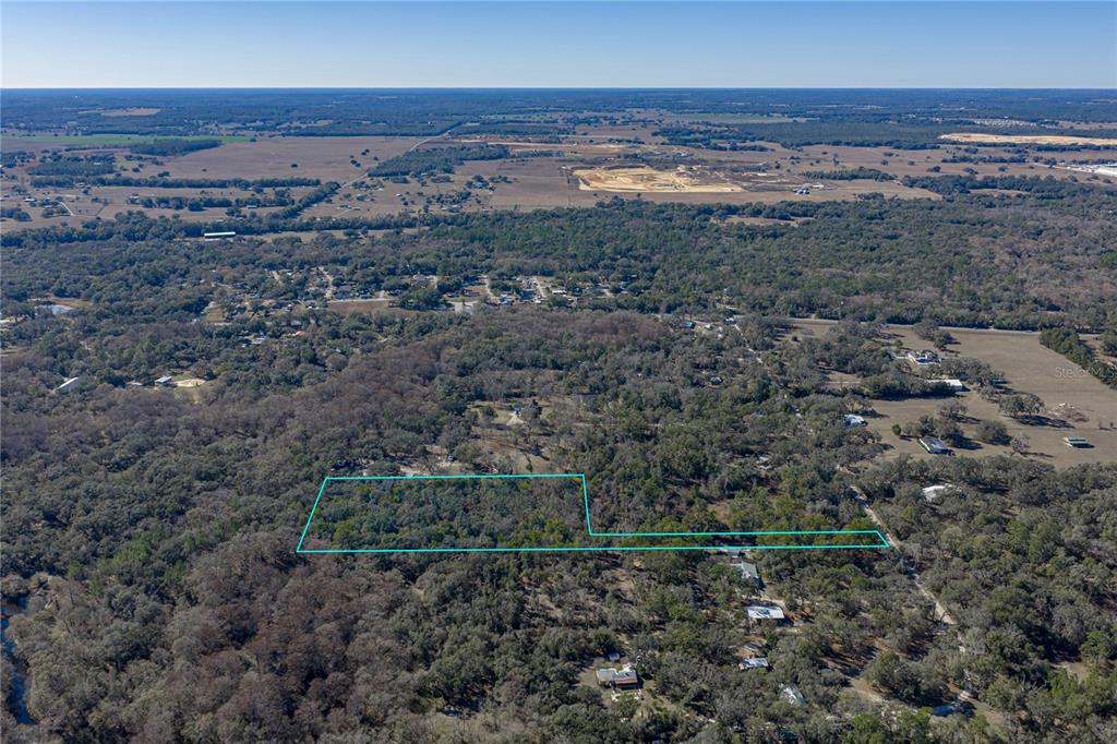 An aerial view shows a wooded plot of land outlined in blue — 00 ROWNTREE DRIVE, DADE CITY, FL