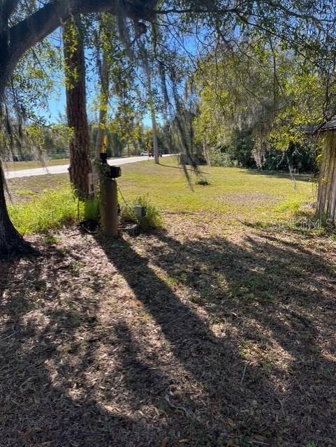 A grassy yard overlooks a lake with tall reeds and a small wooden dock — 8841 S MOBLEY ROAD, ODESSA, FL