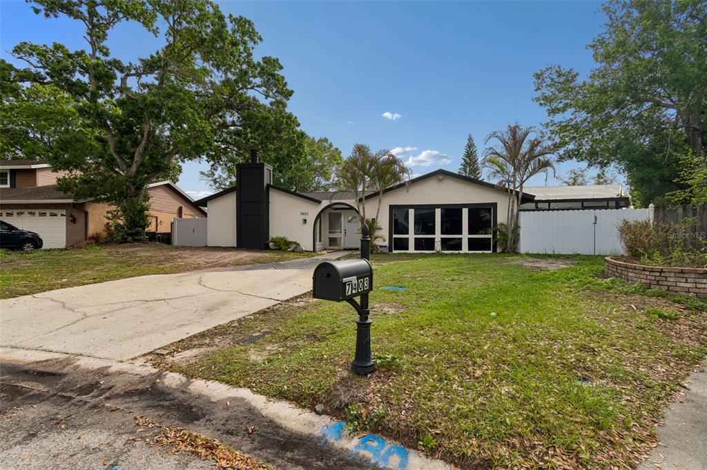 A single-story house with a white exterior, black trim, and a large front-facing window — 7403 SPRING COURT, TAMPA, FL