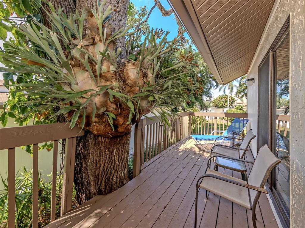 A wooden deck features a large staghorn fern on a tree and outdoor seating — 868 BIRD BAY WAY UNIT 197, VENICE, FL