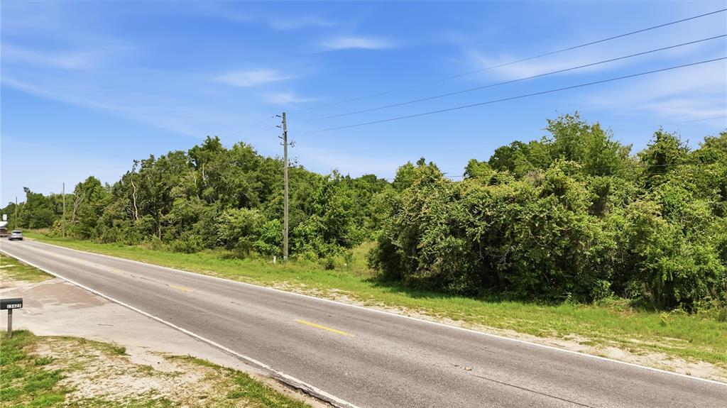 A paved road runs alongside a dense, wooded lot under a clear blue sky — 9433 COUNTY LINE ROAD, SPRING HILL, FL