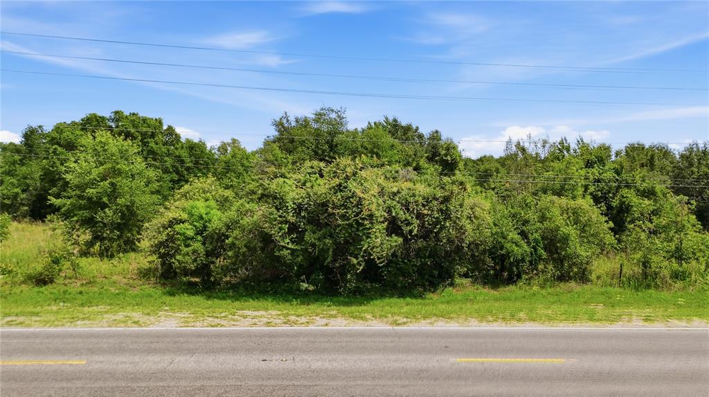 A paved road runs in front of a dense, wooded lot under a blue sky — 9433 COUNTY LINE ROAD, SPRING HILL, FL