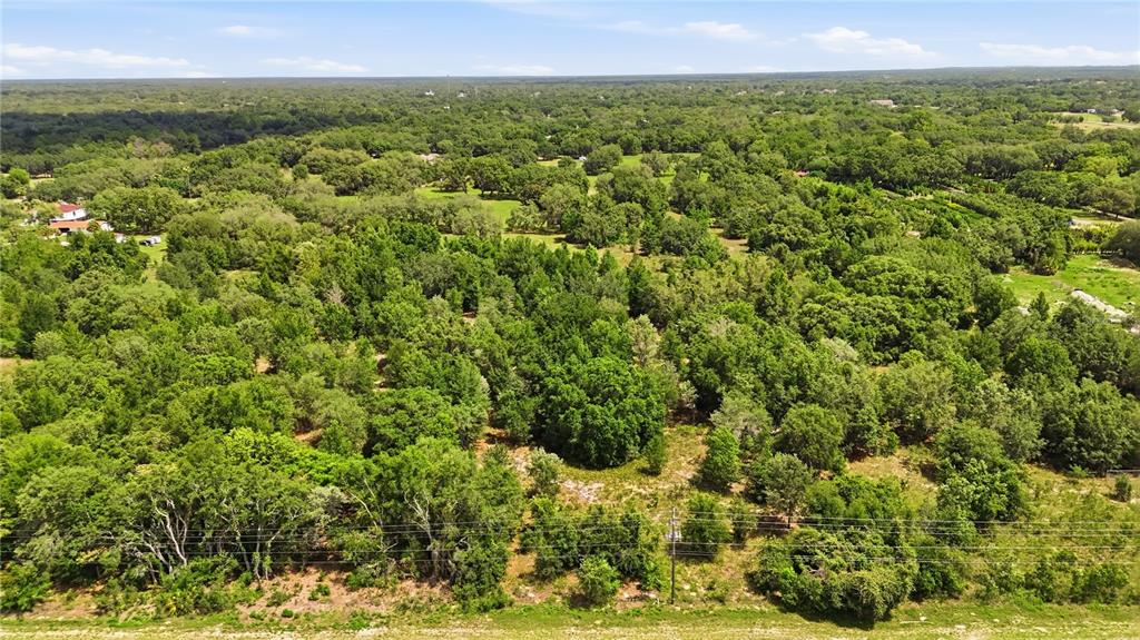 An aerial view shows a large, wooded lot with dense green trees and vegetation — 9433 COUNTY LINE ROAD, SPRING HILL, FL