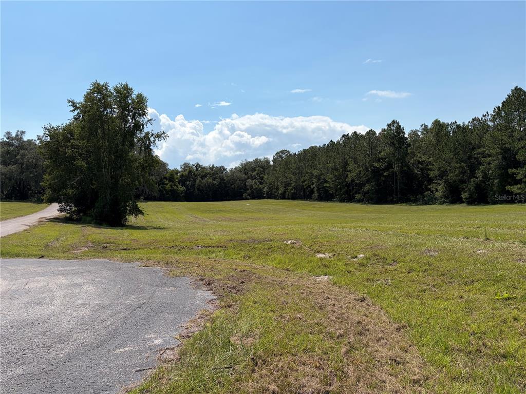 A large, grassy, open field bordered by a dense line of trees under a blue sky — SW WINDSOR COURT, LAKE CITY, FL