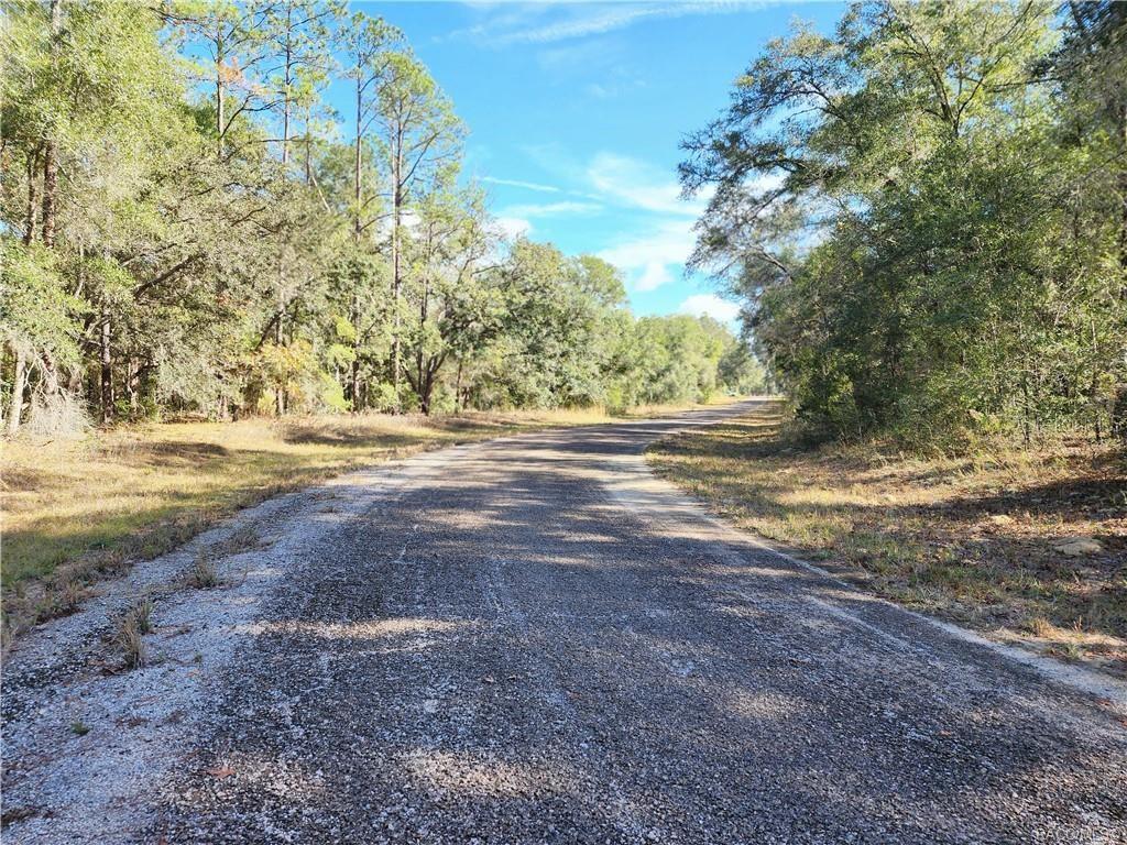 A paved road winds through a wooded area with tall trees on both sides — 8760 N MALIBU ROAD, CITRUS SPRINGS, FL