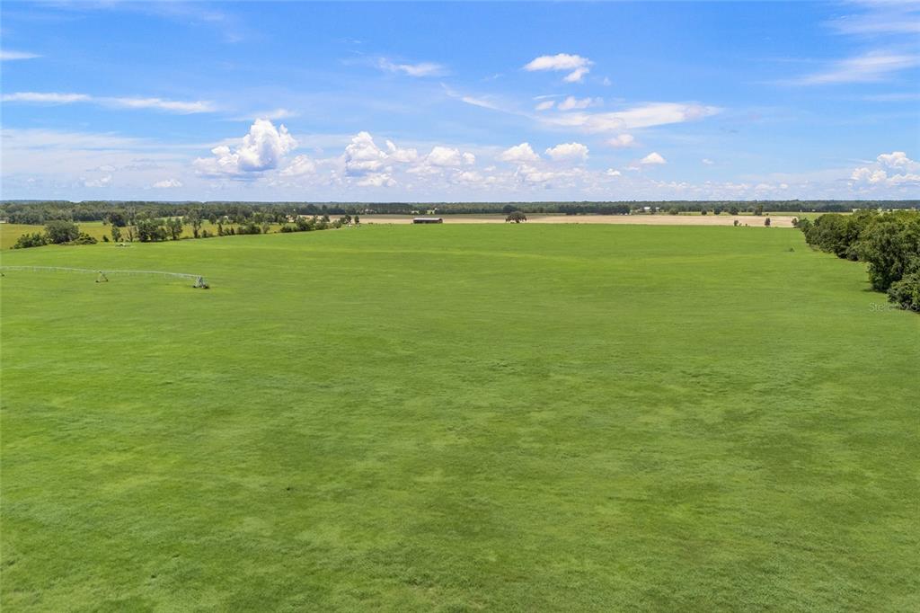 An aerial view of a large, flat, green pasture under a bright blue sky — 7213 SW 298TH STREET, NEWBERRY, FL