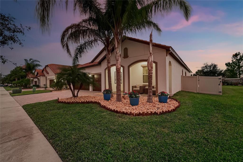 A single-story house exterior features a palm tree, a landscaped rock bed, and a patio — 16805 BANNER SHELL PLACE, WIMAUMA, FL