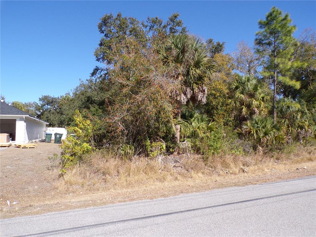 A paved road runs alongside a vacant, wooded lot next to a white building — RENICK LANE, NORTH PORT, FL