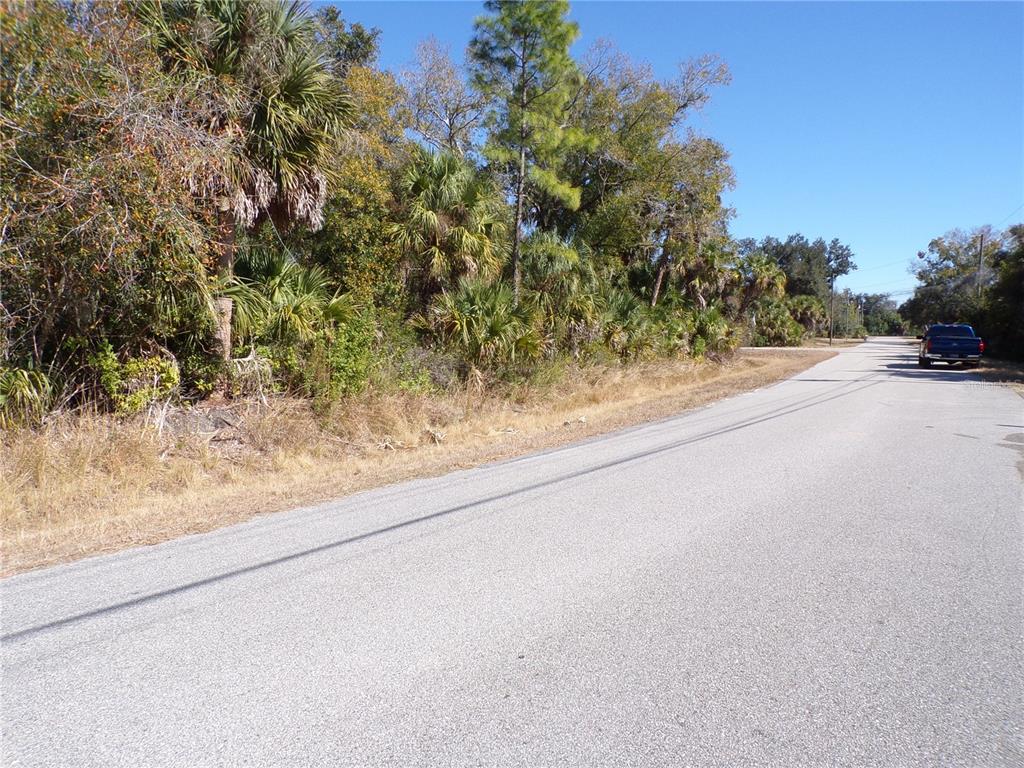A paved road runs alongside a wooded lot with palm trees and native vegetation — RENICK LANE, NORTH PORT, FL