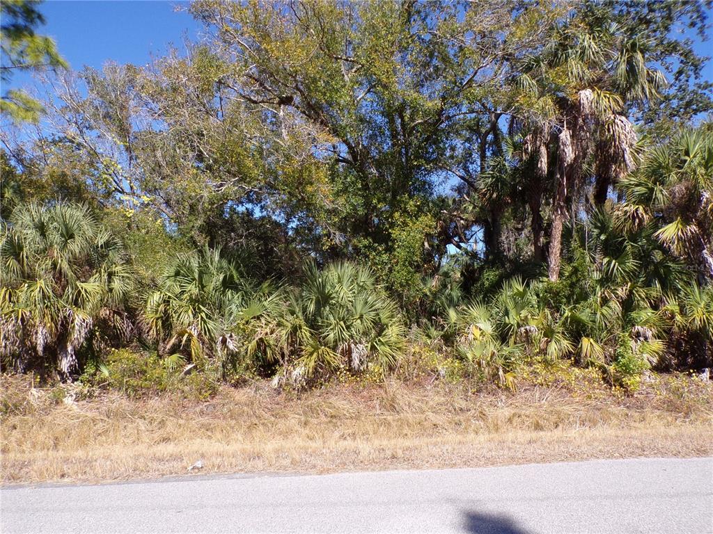 A dense, wooded lot with palm trees and tall vegetation sits beside a paved road — RENICK LANE, NORTH PORT, FL