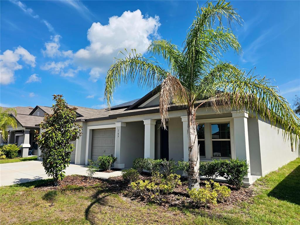 A single-story house with a palm tree in the front yard under a blue sky — 165 RAIN BERRY AVENUE, RUSKIN, FL