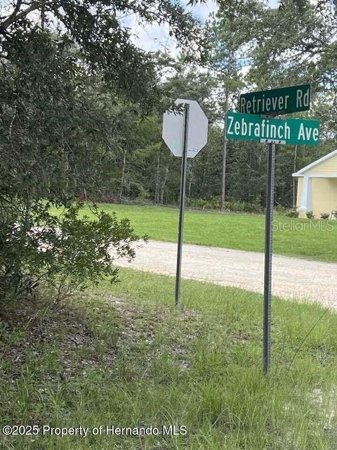 A street sign marks the intersection of Retriever Road and Zebrafinch Avenue near a wooded lot — 0 ZEBRAFINCH AVENUE, WEEKI WACHEE, FL
