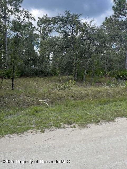 A vacant, wooded lot is viewed from a sandy road under a cloudy sky — 0 ZEBRAFINCH AVENUE, WEEKI WACHEE, FL