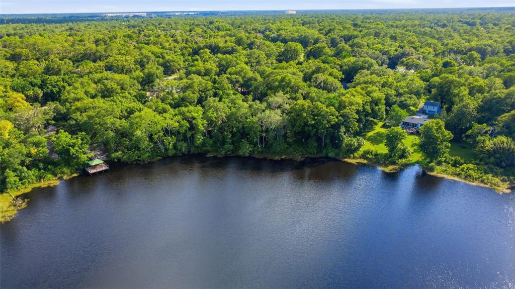 An aerial view shows a lakefront property with a house, a dock, and dense trees — VISTA STREET, LAKE HELEN, FL