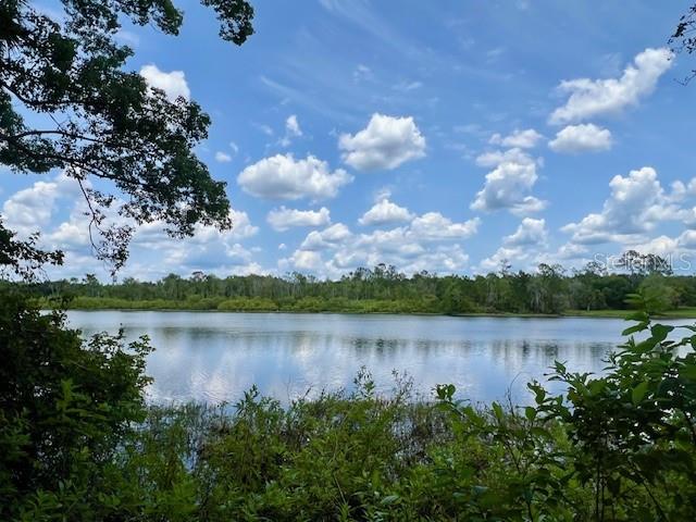 A view of a calm lake surrounded by trees under a blue sky with clouds — VISTA STREET, LAKE HELEN, FL