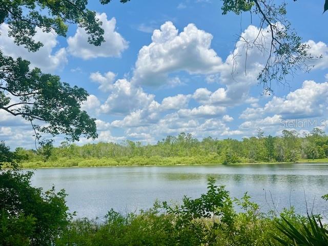 A view of a calm lake surrounded by lush green trees under a cloudy sky — VISTA STREET, LAKE HELEN, FL