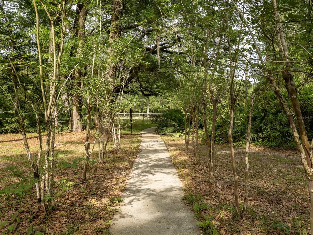 A concrete walkway leads through a wooded area with mature trees and native vegetation — 5106 SW 177TH STREET, ARCHER, FL