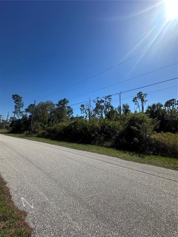 A paved road runs alongside a vacant, overgrown lot under a bright, sunny sky — PINEWOOD STREET, NORTH PORT, FL