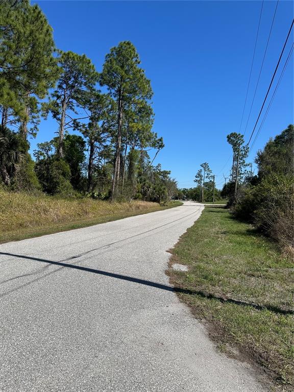 A paved road stretches into the distance, flanked by tall pine trees and grassy shoulders — PINEWOOD STREET, NORTH PORT, FL