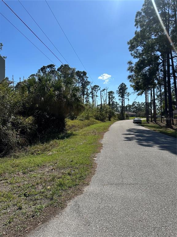 A paved road runs alongside a grassy area with trees and power lines — PINEWOOD STREET, NORTH PORT, FL