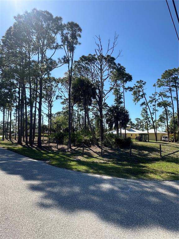 A view of a grassy lot with tall pine trees and a house in the background — PINEWOOD STREET, NORTH PORT, FL