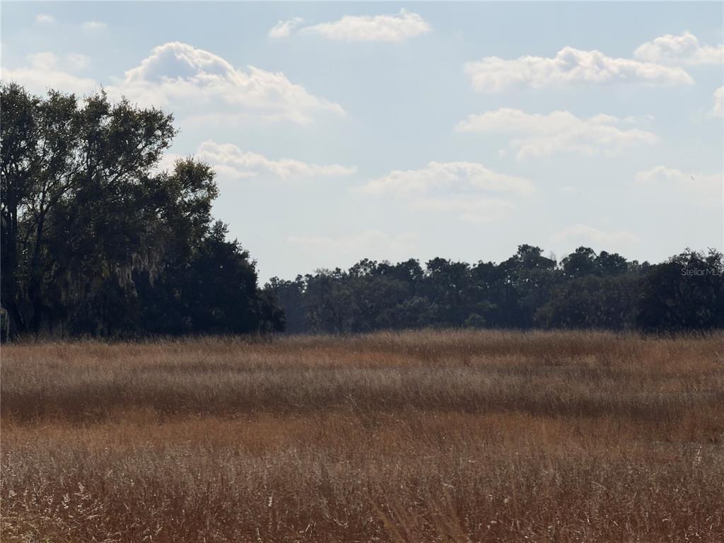 A wide, grassy field stretches toward a line of trees under a cloudy blue sky — LAKE ERIE, GROVELAND, FL
