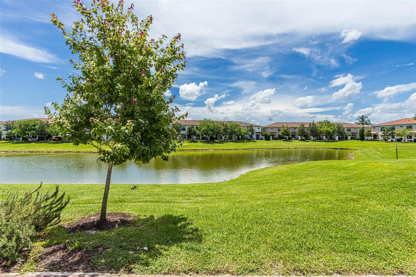 A small tree stands on a grassy lawn overlooking a pond with townhouses in the background — 10124 Brickhill Drive # 10124, Boca Raton FL 33428, BOCA RATON, FL