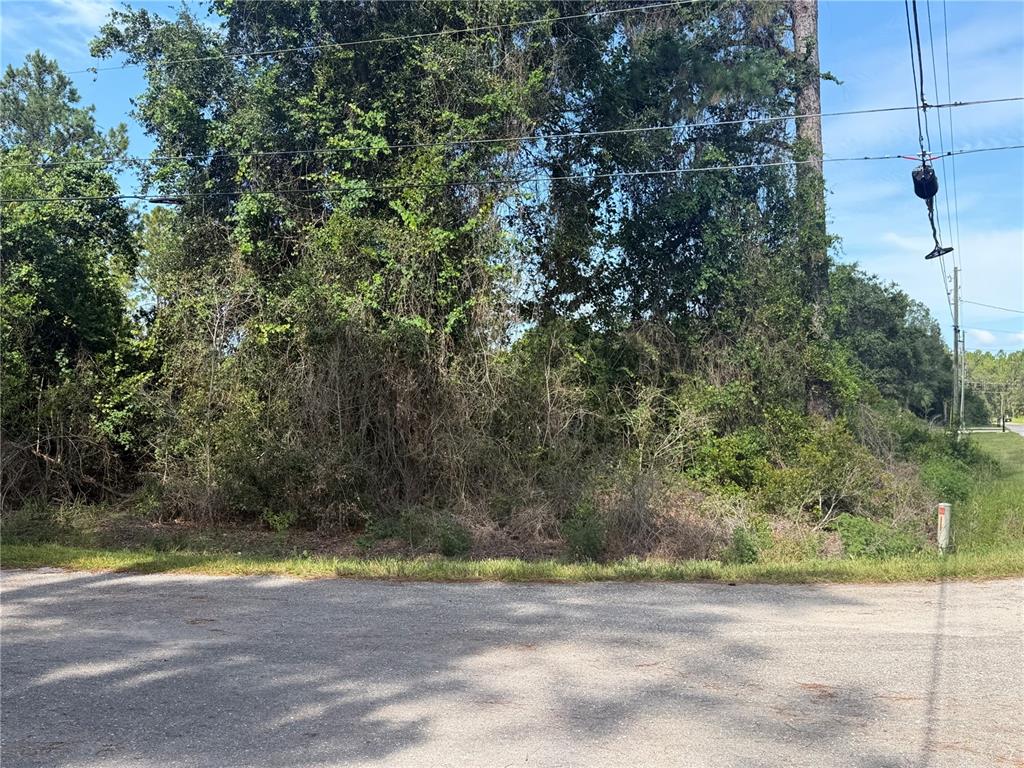 A dense, overgrown wooded lot sits adjacent to a paved road under a blue sky — TBD MALAUKA TERRACE, OCKLAWAHA, FL