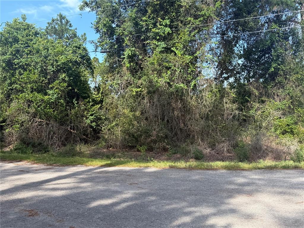 A paved road runs in front of a dense, wooded lot with overgrown vegetation — TBD MALAUKA TERRACE, OCKLAWAHA, FL