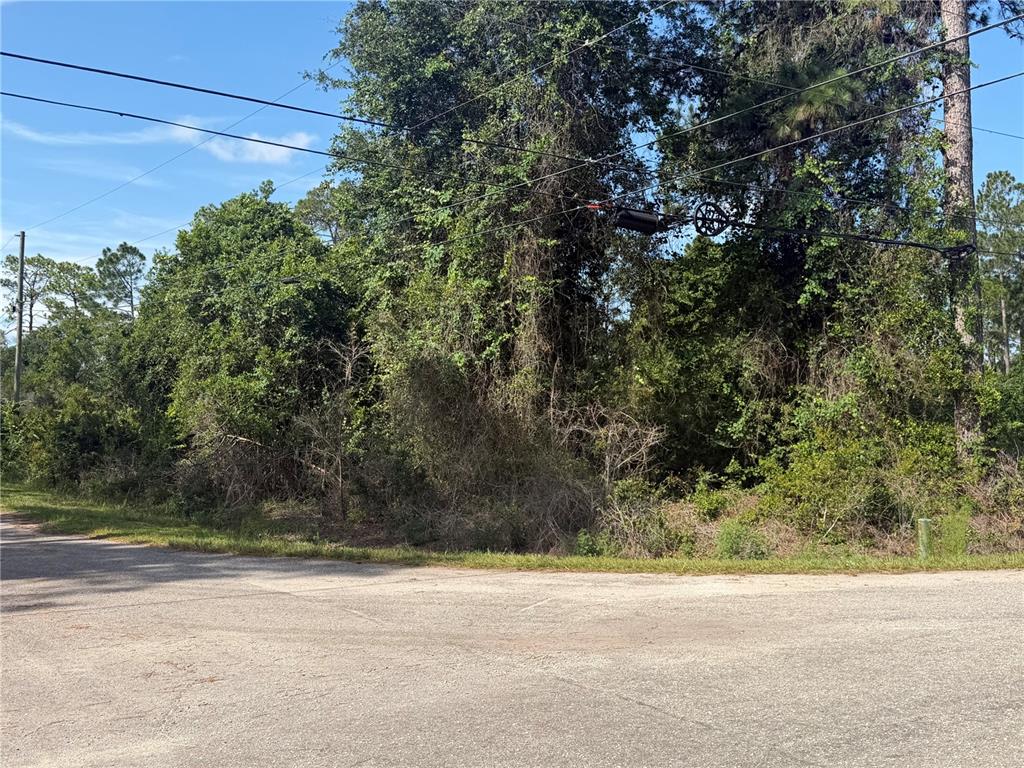 A paved road borders a dense, wooded lot with overhead utility lines — TBD MALAUKA TERRACE, OCKLAWAHA, FL