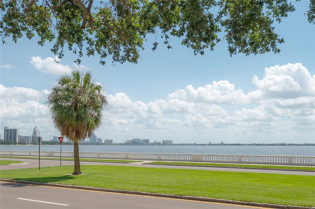 A palm tree stands on a grassy lawn beside a road overlooking a bay and skyline — 3325 BAYSHORE BOULEVARD UNIT A17, TAMPA, FL