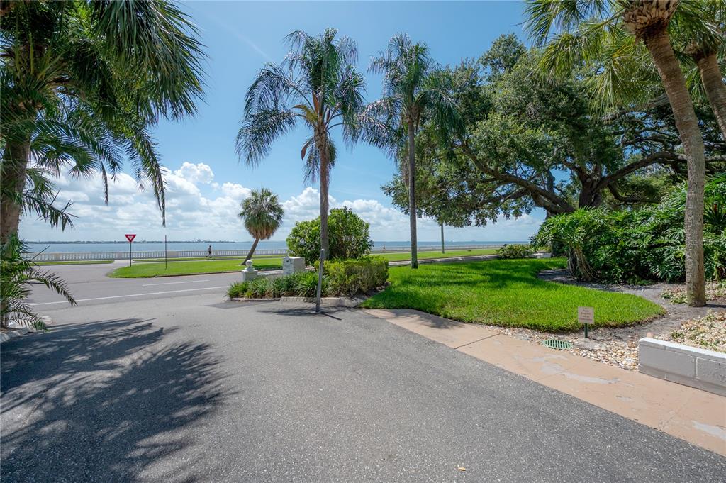 A paved driveway leads toward a waterfront road lined with palm trees and green grass — 3325 BAYSHORE BOULEVARD UNIT A17, TAMPA, FL