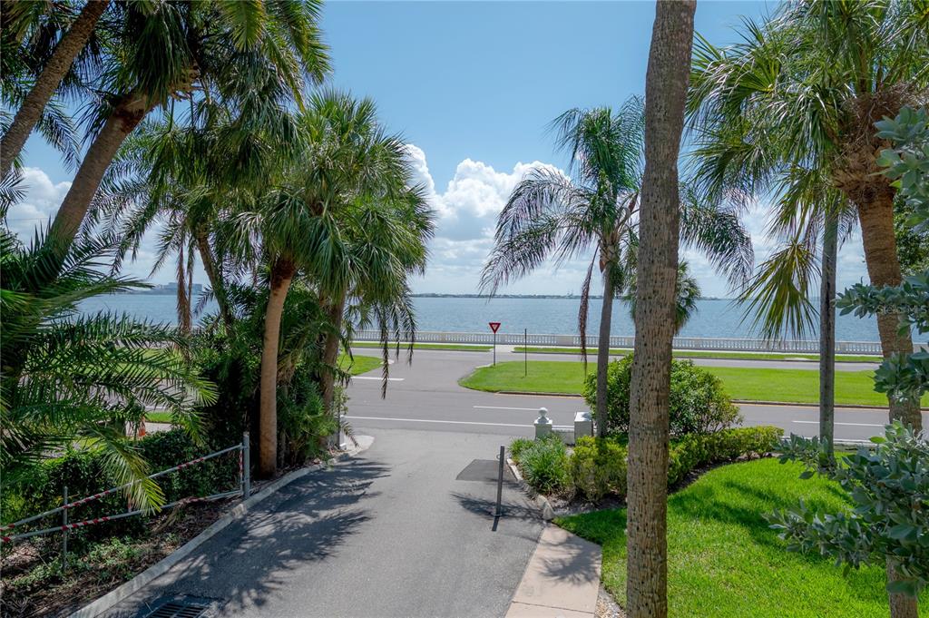 A paved driveway leads toward a road and a waterfront view framed by palm trees — 3325 BAYSHORE BOULEVARD UNIT A17, TAMPA, FL