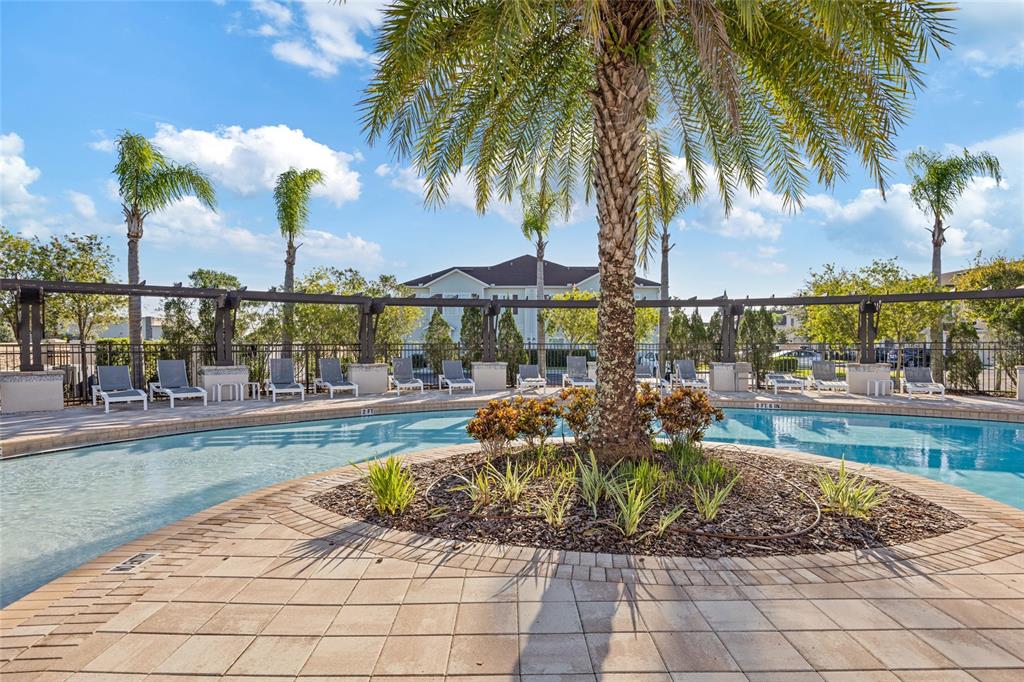 A swimming pool with lounge chairs and a palm tree in a landscaped island — 8945 SHINE DRIVE, KISSIMMEE, FL