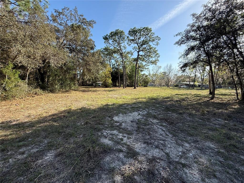 A large, grassy, partially wooded vacant lot under a clear blue sky — 6479 W HOLIDAY STREET, HOMOSASSA, FL