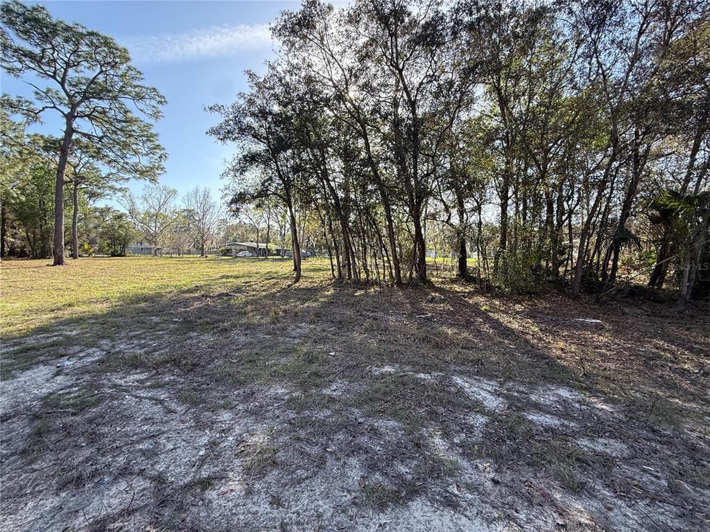 A grassy, sandy lot features a cluster of trees under a bright blue sky — 6479 W HOLIDAY STREET, HOMOSASSA, FL