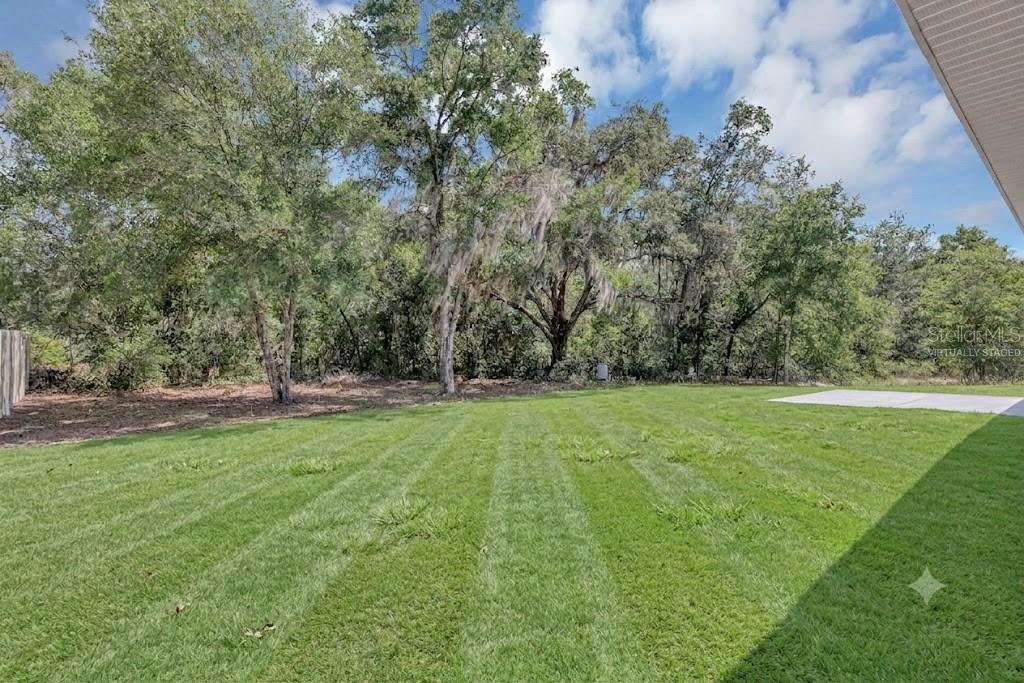 A grassy backyard features a concrete patio and a line of mature trees — 5 LOCUST RADIAL CIRCLE, OCALA, FL