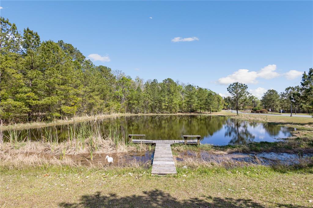 A wooden dock extends into a small pond surrounded by trees and grassy banks — 461 SW BELLFLOWER DRIVE, LAKE CITY, FL